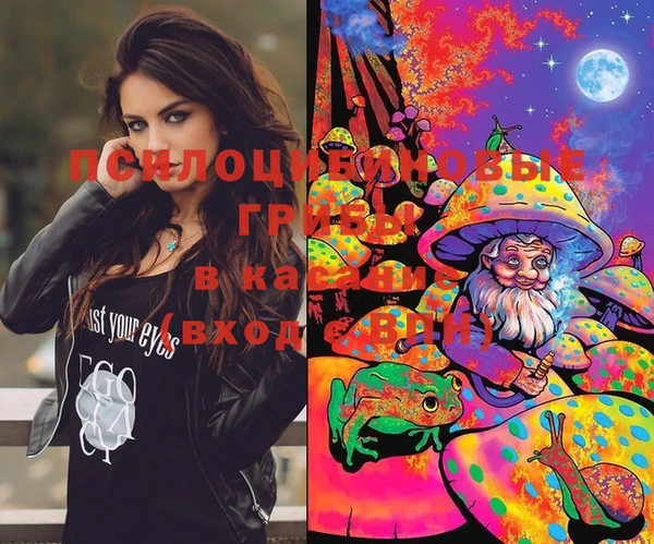 марки lsd Зерноград