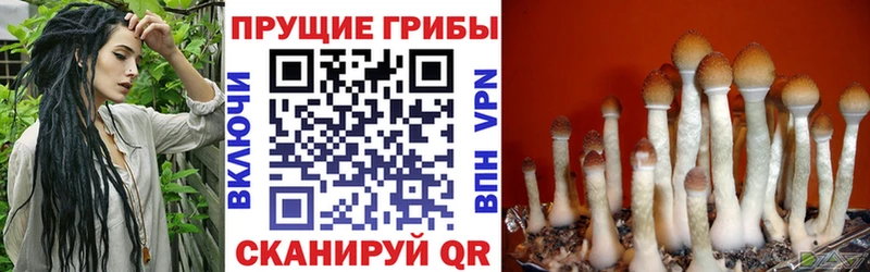 МЕГА вход  Светлый  Псилоцибиновые грибы мухоморы 
